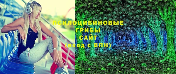 бошки Балахна
